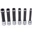 1/2" Dr T-Star/E-type Sockets with retaining ball. 6pcsSizes: E10-12-14-16-18-20. 140mm length. With backstop design. ½’’ DR.