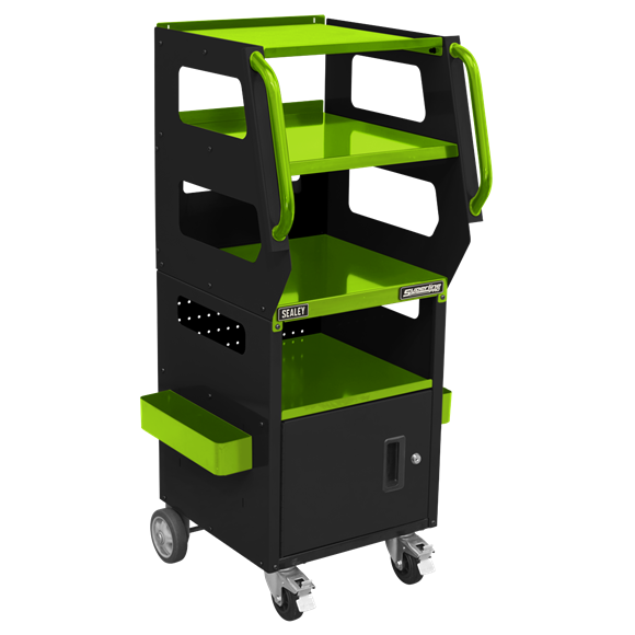 4-Level Multipurpose Trolley for Diagnostics » Toolwarehouse